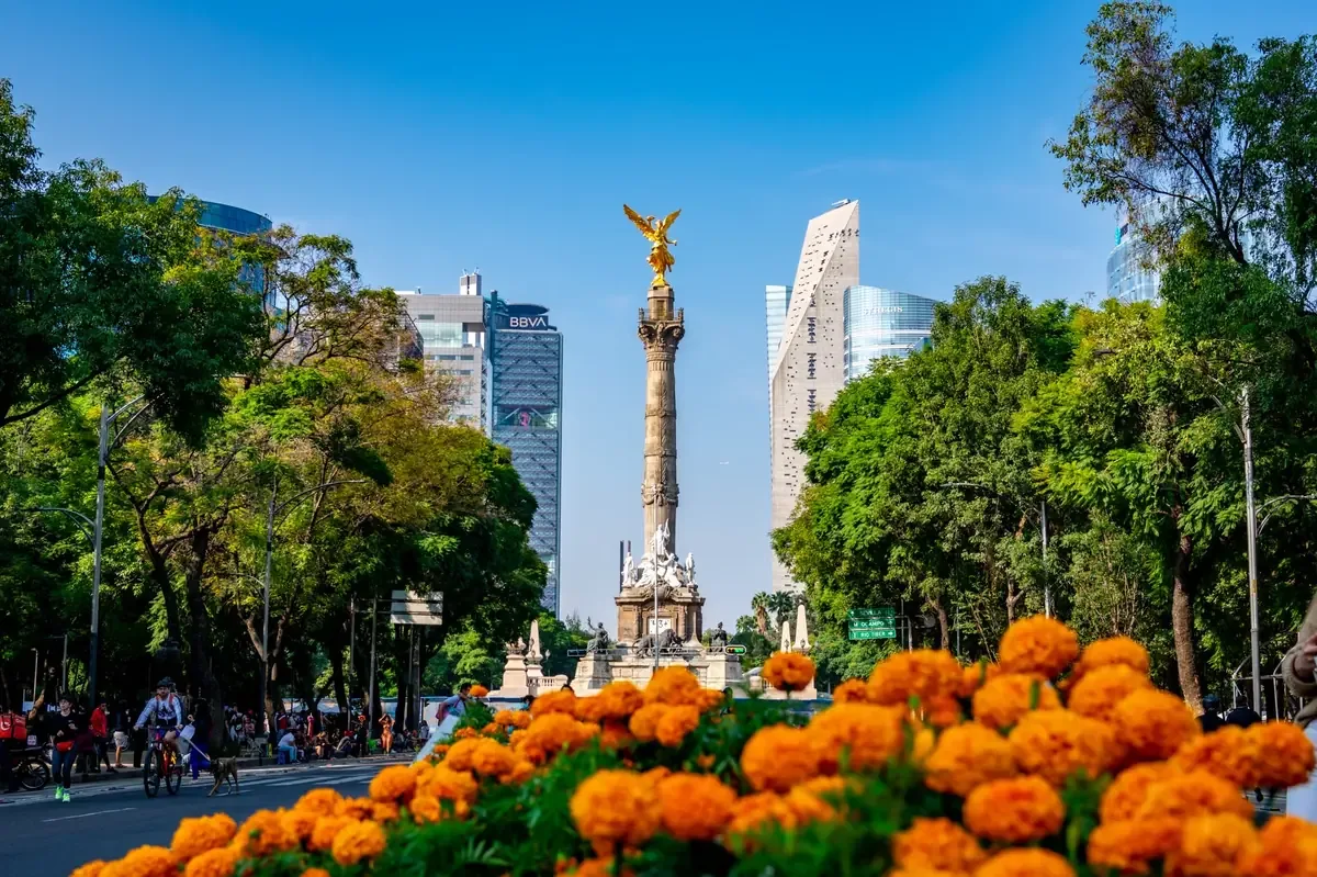 La Maratón de la Ciudad de México convocó a 30 mil corredores y destacó la inclusión de categorías para atletas con discapacidad.