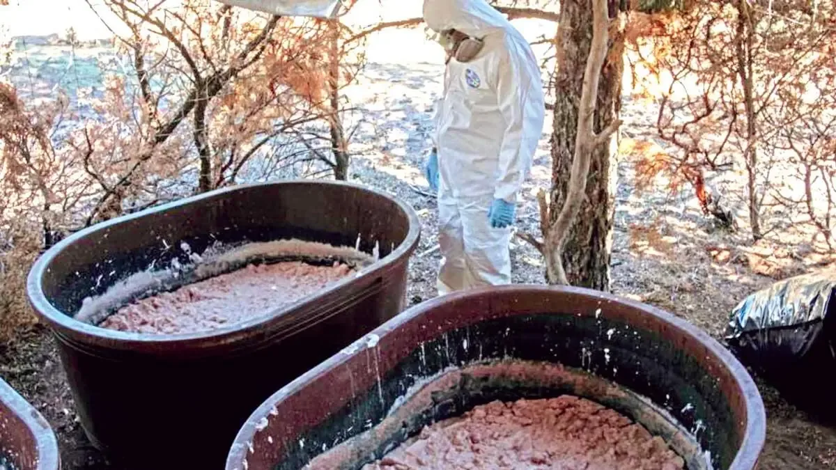 Los cárteles mexicanos están ampliando su red de producción de drogas hacia África, afectando el comercio internacional.
