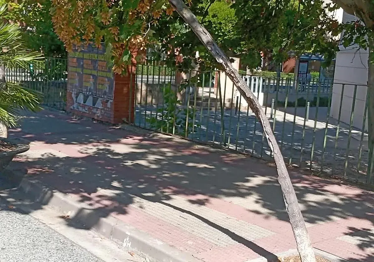 Los vecinos de Logroño se quejan del elevado costo de las bebidas y del ruido en el festival Muwi.