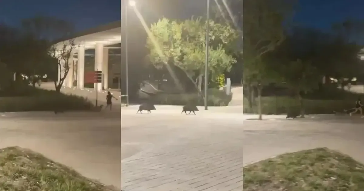 El incidente en el Parque del Agua genera preocupación entre los visitantes tras la intervención de testigos.