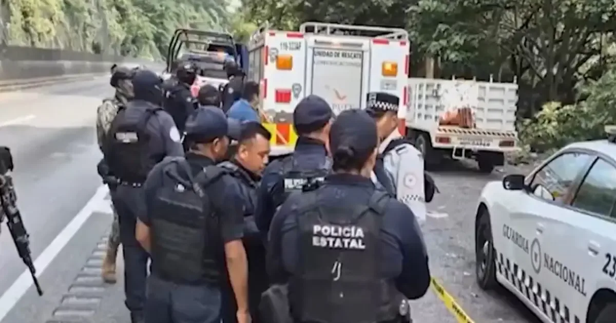 Hallazgos recientes intensifican la preocupación por la seguridad en Veracruz.