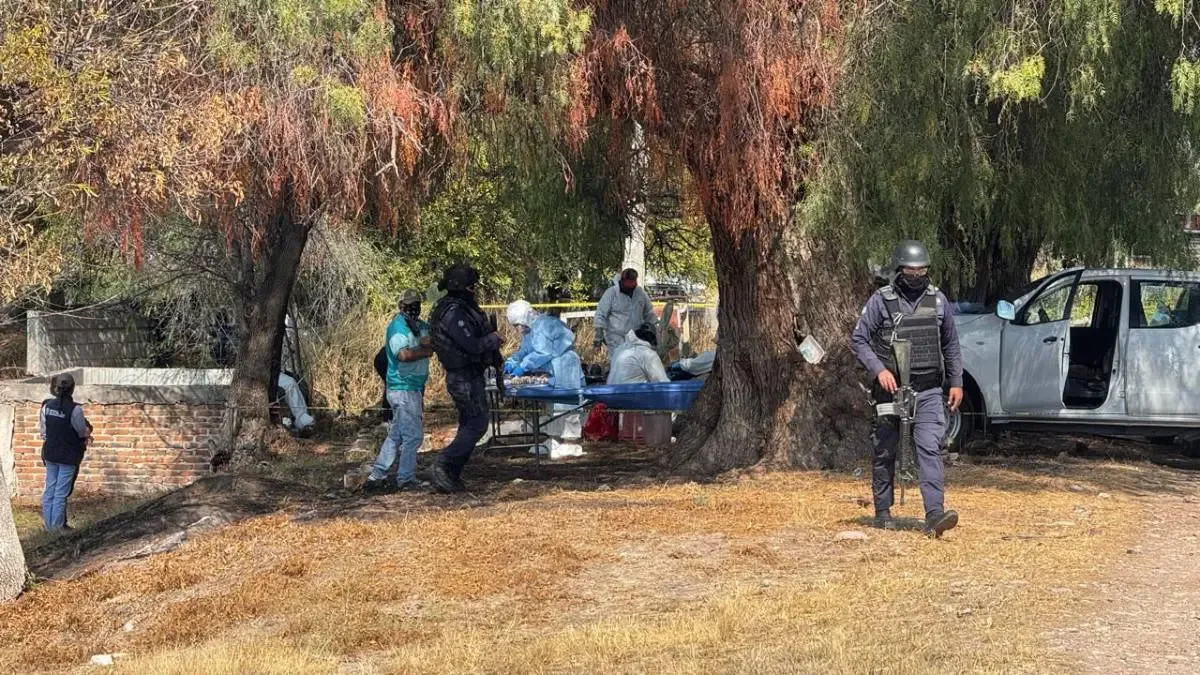 Cuerpos encontrados en fosas en Juventino Rosas durante operaciones de búsqueda.