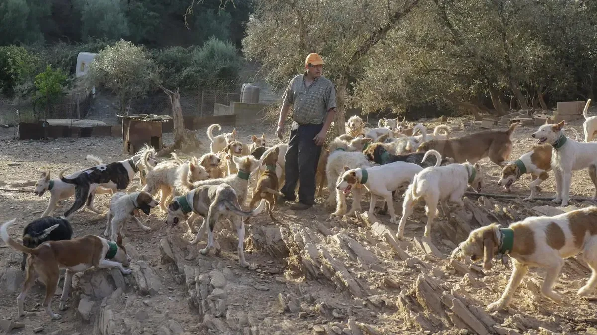 La regulación plantea tensiones entre cazadores y defensores de animales en Extremadura.
