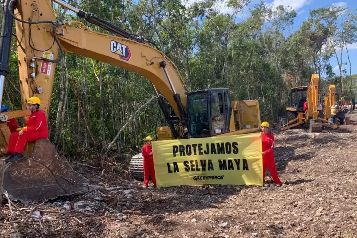 La pérdida de selva impacta el hábitat de especies y el acuífero de la región.