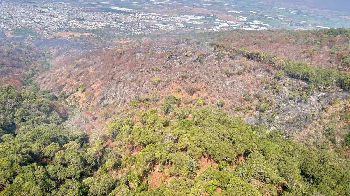 La pérdida de bosques en la región afecta gravemente el clima y los recursos hídricos.