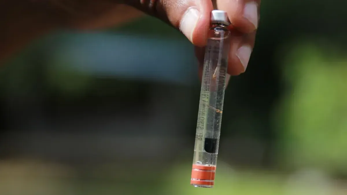 La alerta por dengue se intensifica en Panamá con un aumento de hospitalizaciones y defunciones.