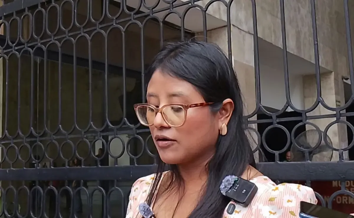 La exvisitadora adjunta de la CEDH señala hostigamiento laboral hacia mujeres y madres trabajadoras.