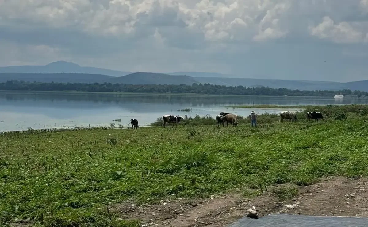 Campesinos y autoridades locales claman por intervención federal y recursos para restaurar la zona afectada.