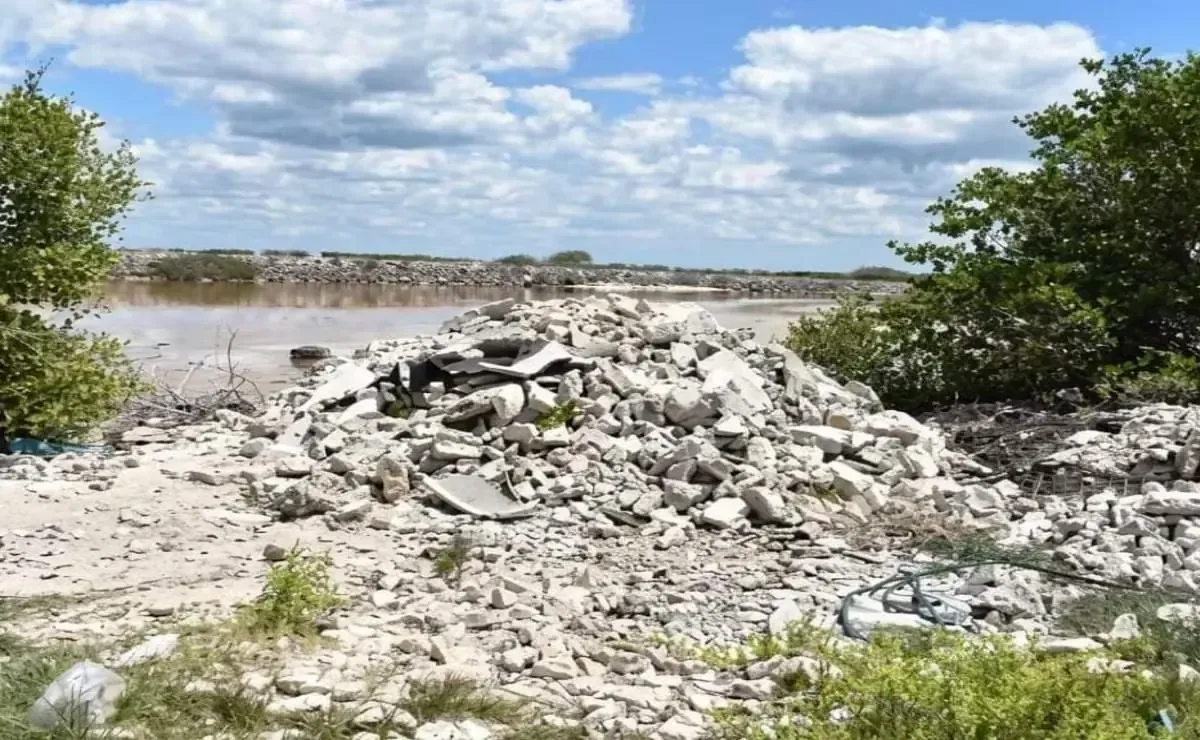 La afectación al manglar pone en riesgo el ecosistema y la seguridad de los habitantes.