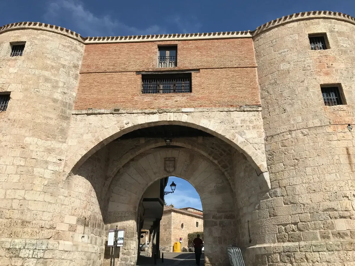 La intervención del Ayuntamiento de Palma genera preocupaciones por la falta de alternativas habitacionales.