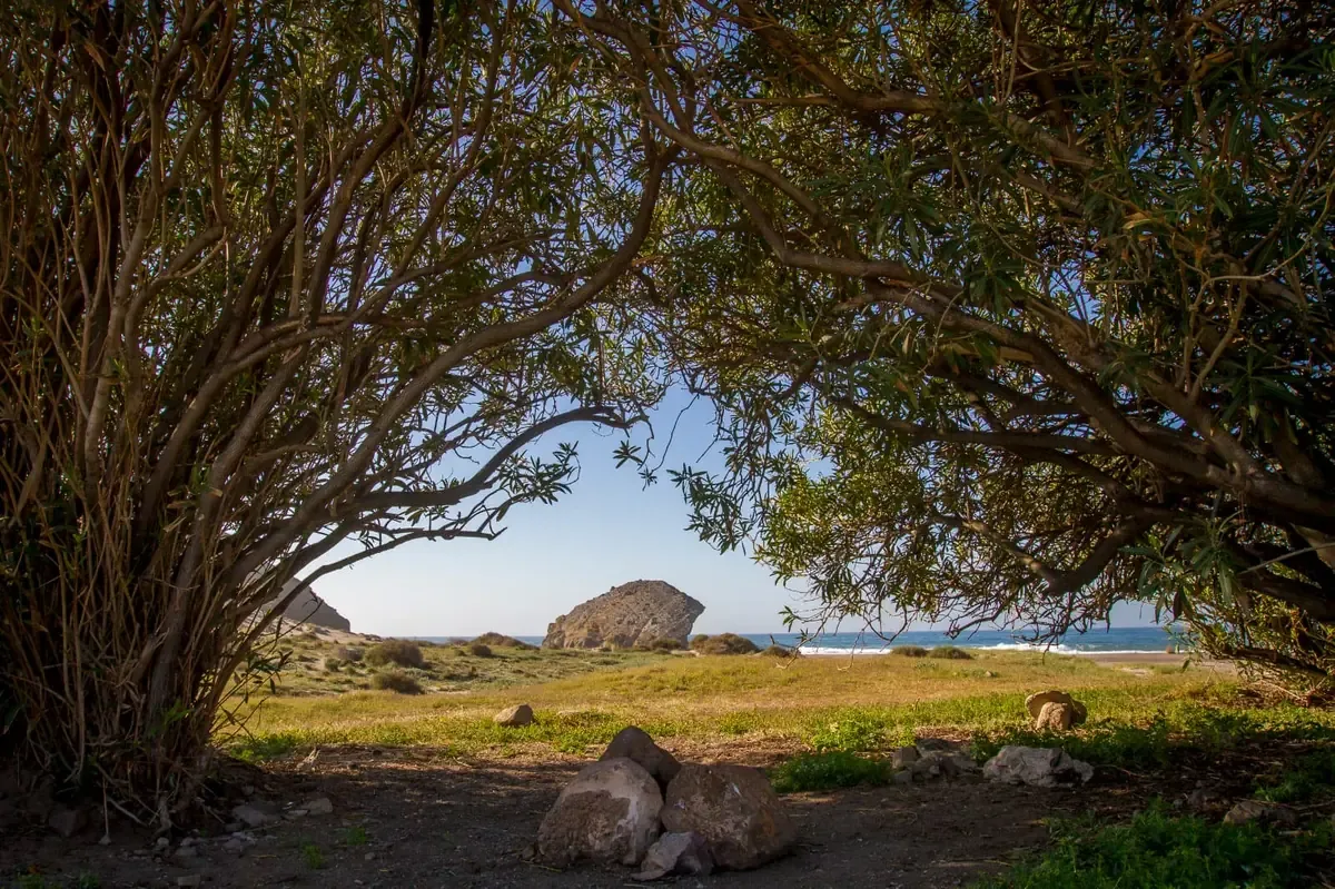 Descubre la autenticidad de Costa de Almería, donde la naturaleza y la cultura se entrelazan.
