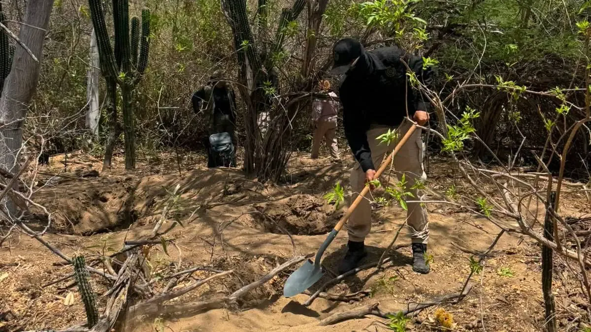Autoridades y colectivos de búsqueda localizan restos humanos en la región, generando gran preocupación.