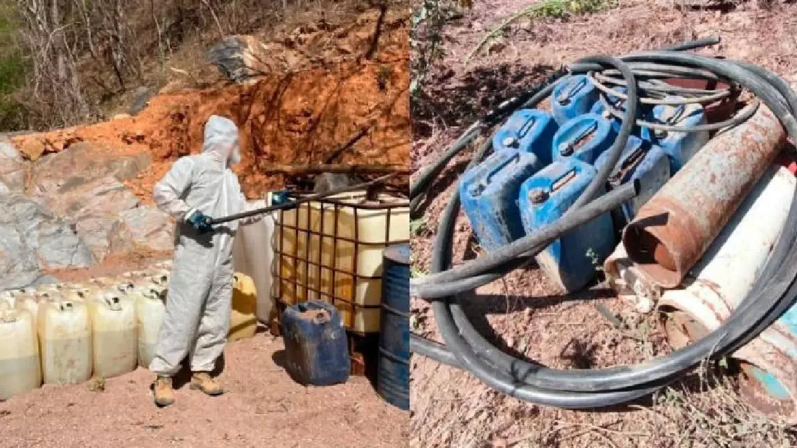 Operativos militares y policiales en Sinaloa eliminan laboratorios y aseguran drogas y armamento.