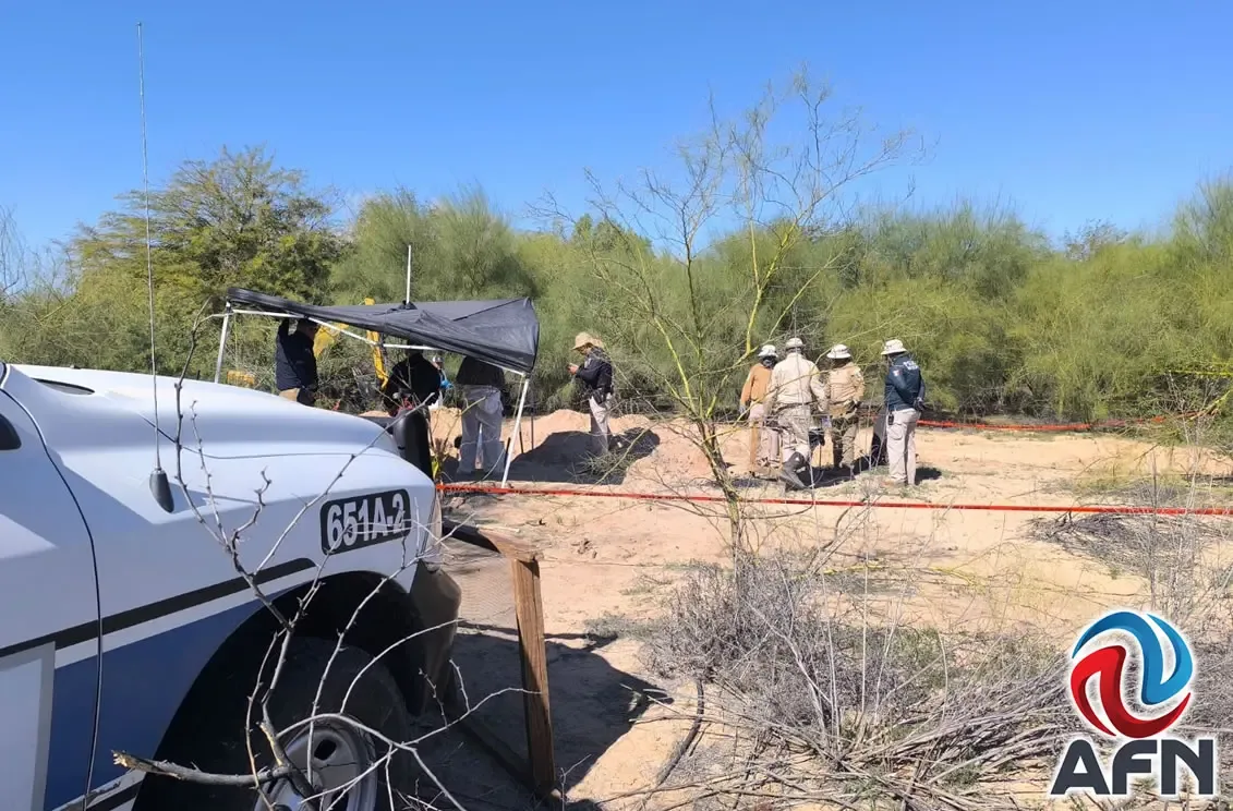 Despliegue de la Unidad de Búsqueda en la zona reforestada de Mexicali.