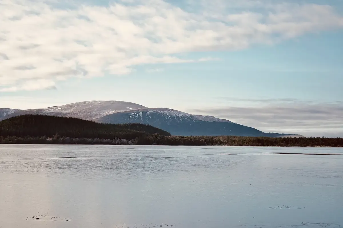 Un incendio en el Parque Nacional de Cairngorms ha arrasado grandes áreas, creando un paisaje irreconocible.