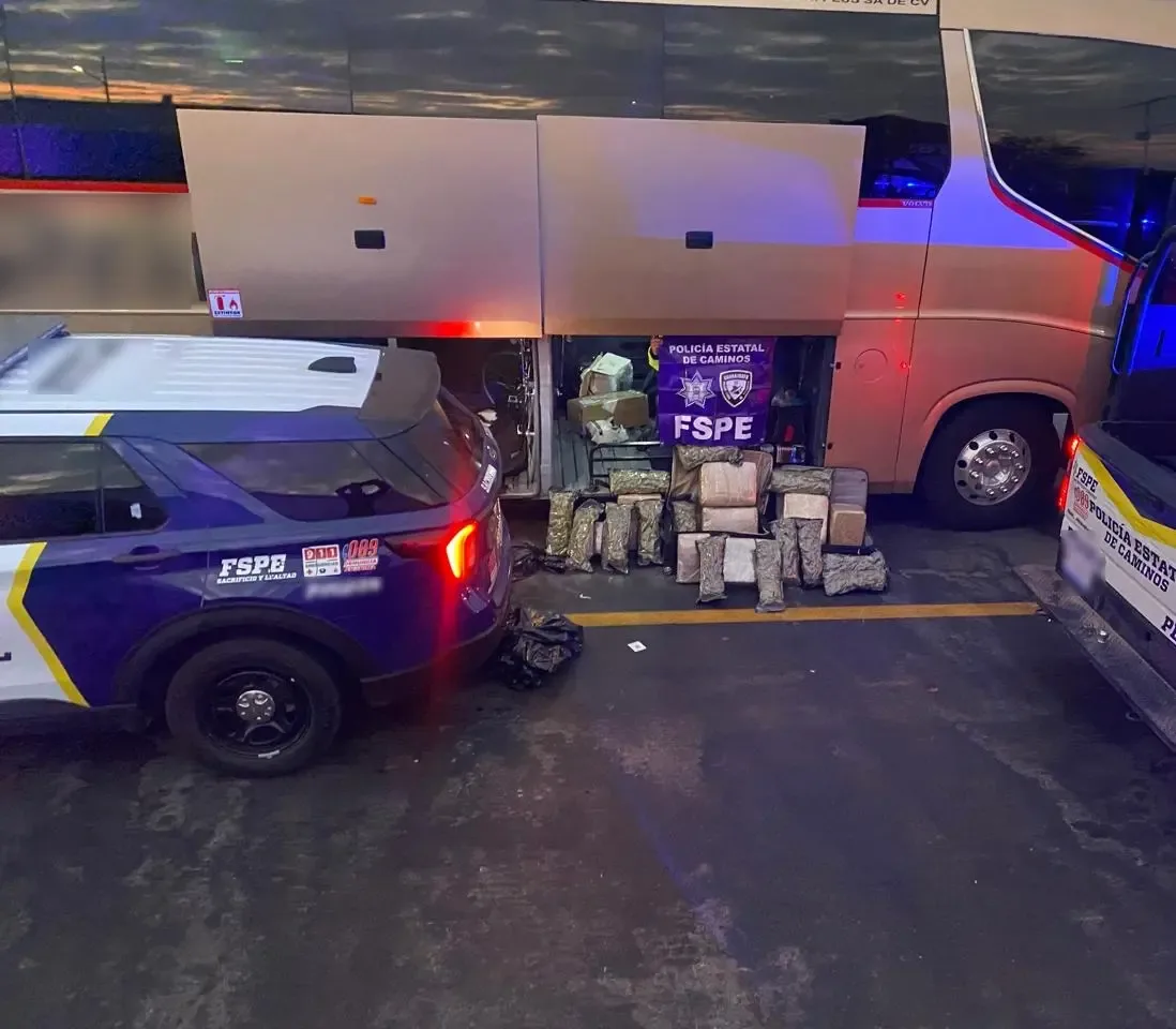 Detalles del aseguramiento de marihuana en Salamanca, Guanajuato.