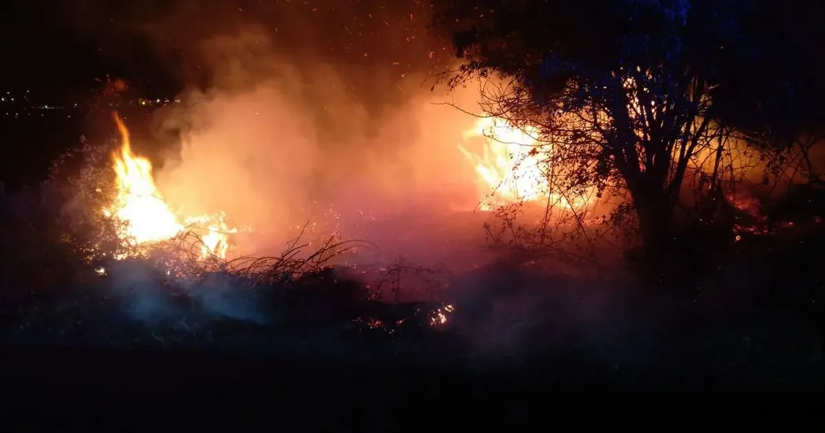 La colaboración ciudadana fue fundamental para la detención del presunto responsable de los incendios.