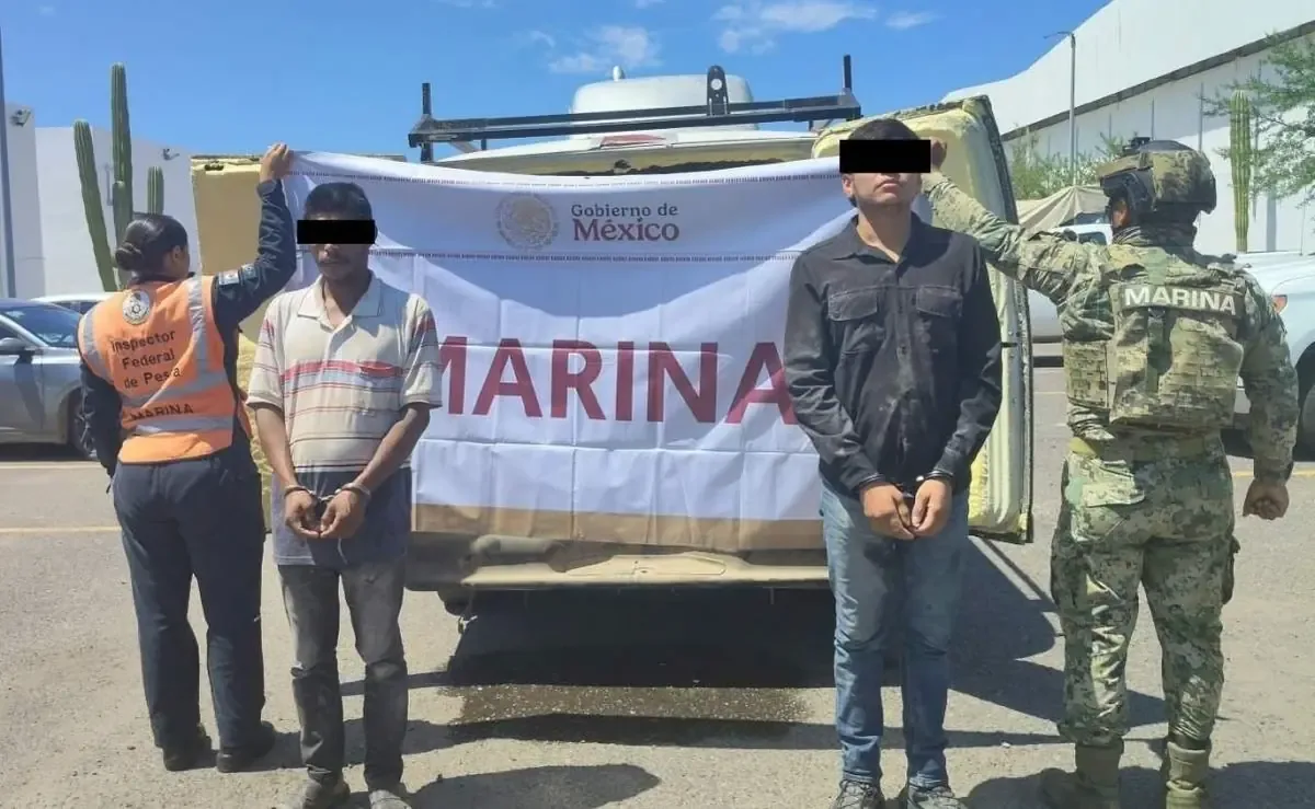 La detención forma parte de las acciones para frenar el tráfico de especies en veda y sustancias controladas.