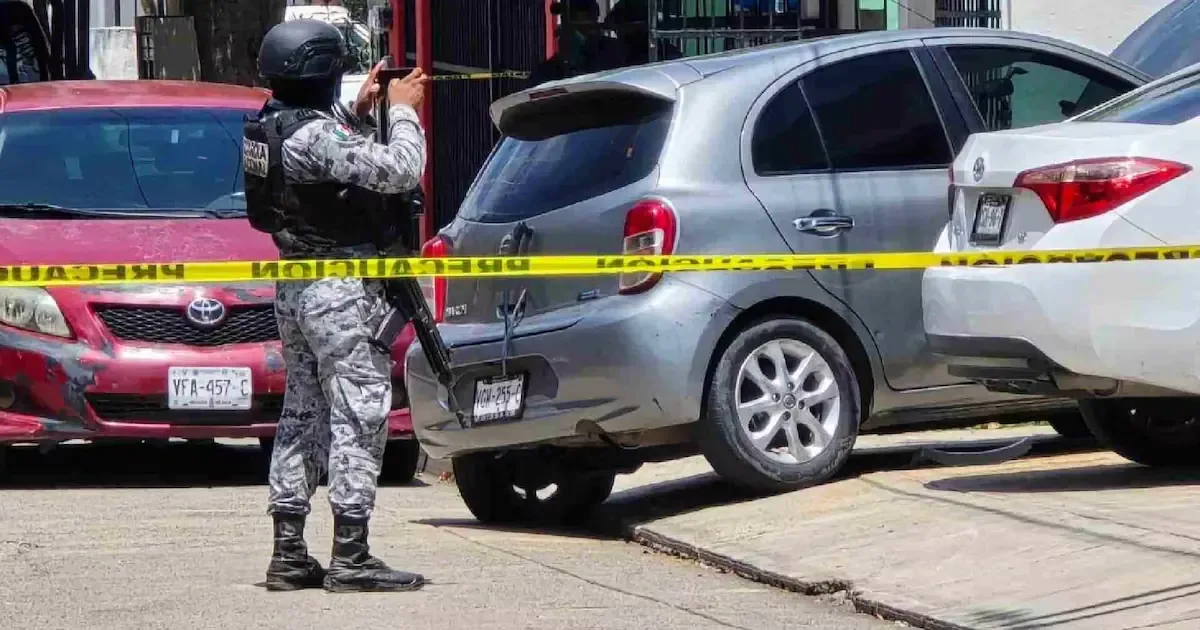 La intervención se realizó durante operativos de vigilancia en la carretera federal 307.
