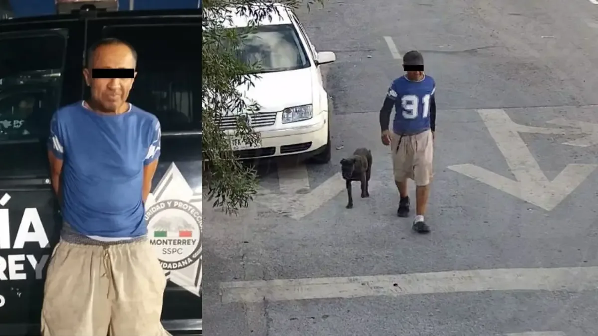 La víctima sufrió lesiones tras ser mordida por uno de los canes en el centro de Monterrey.