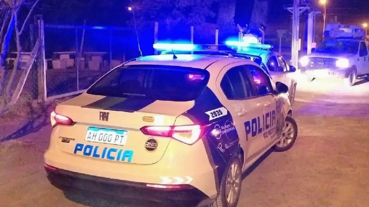 Dos operativos policiales culminan con una detención y la recuperación de un vehículo con pedido de secuestro desde 2015.