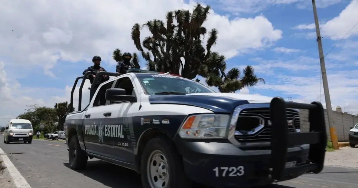 Se investiga la protección a laboratorios de drogas en la mixteca y sierra norte de Puebla.