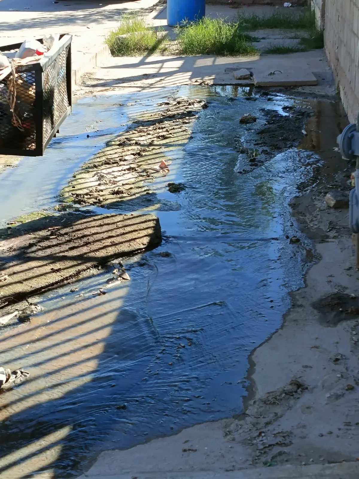 La problemática del agua en la colonia requiere atención inmediata tras semanas sin solución.