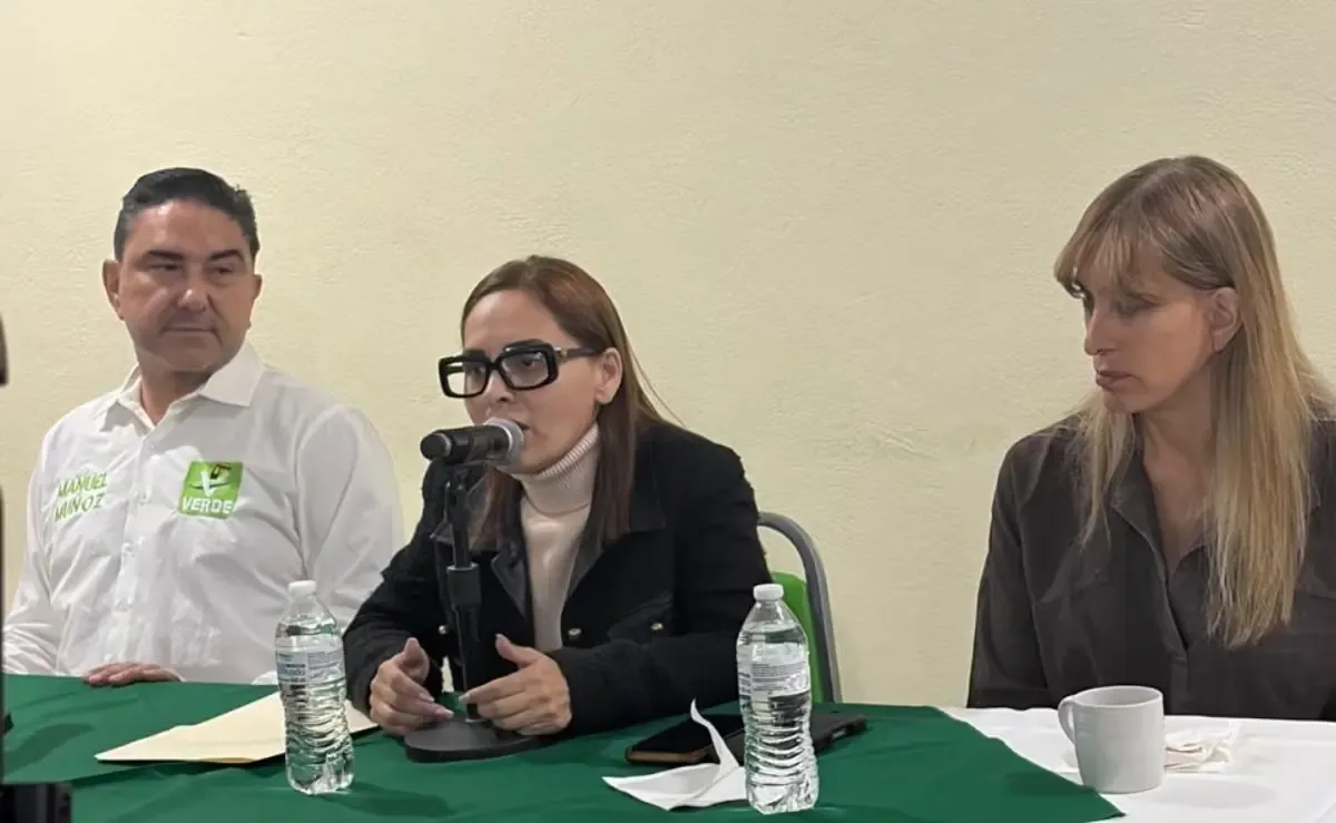 La diputada del Partido Verde Ecologista fue agredida por un encapuchado en un ataque registrado el 10 de octubre.