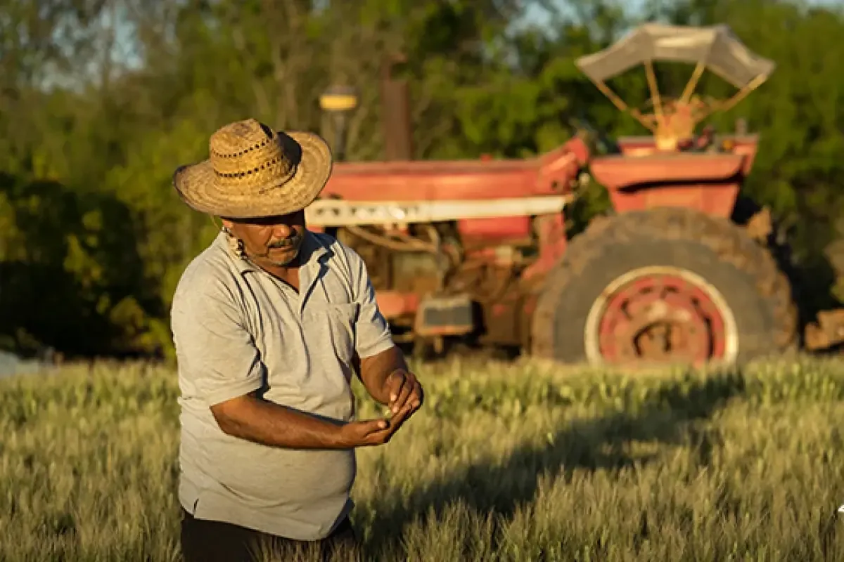 Diputado Paulo Martínez solicita atención a usuarios de la extinta financiera rural.