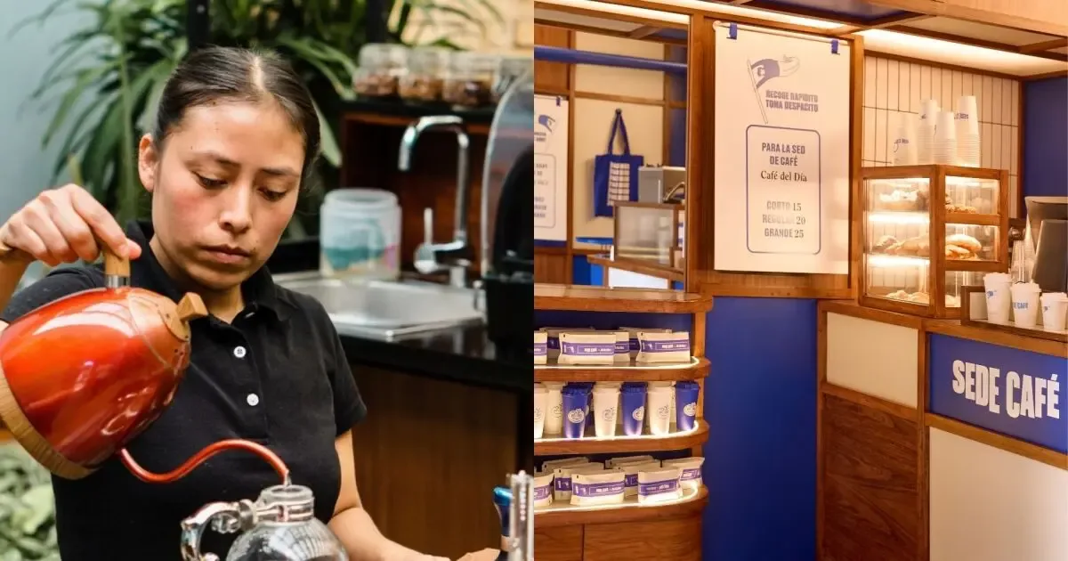 Diseño modular en cafeterías de CDMX que optimiza la experiencia del cliente.