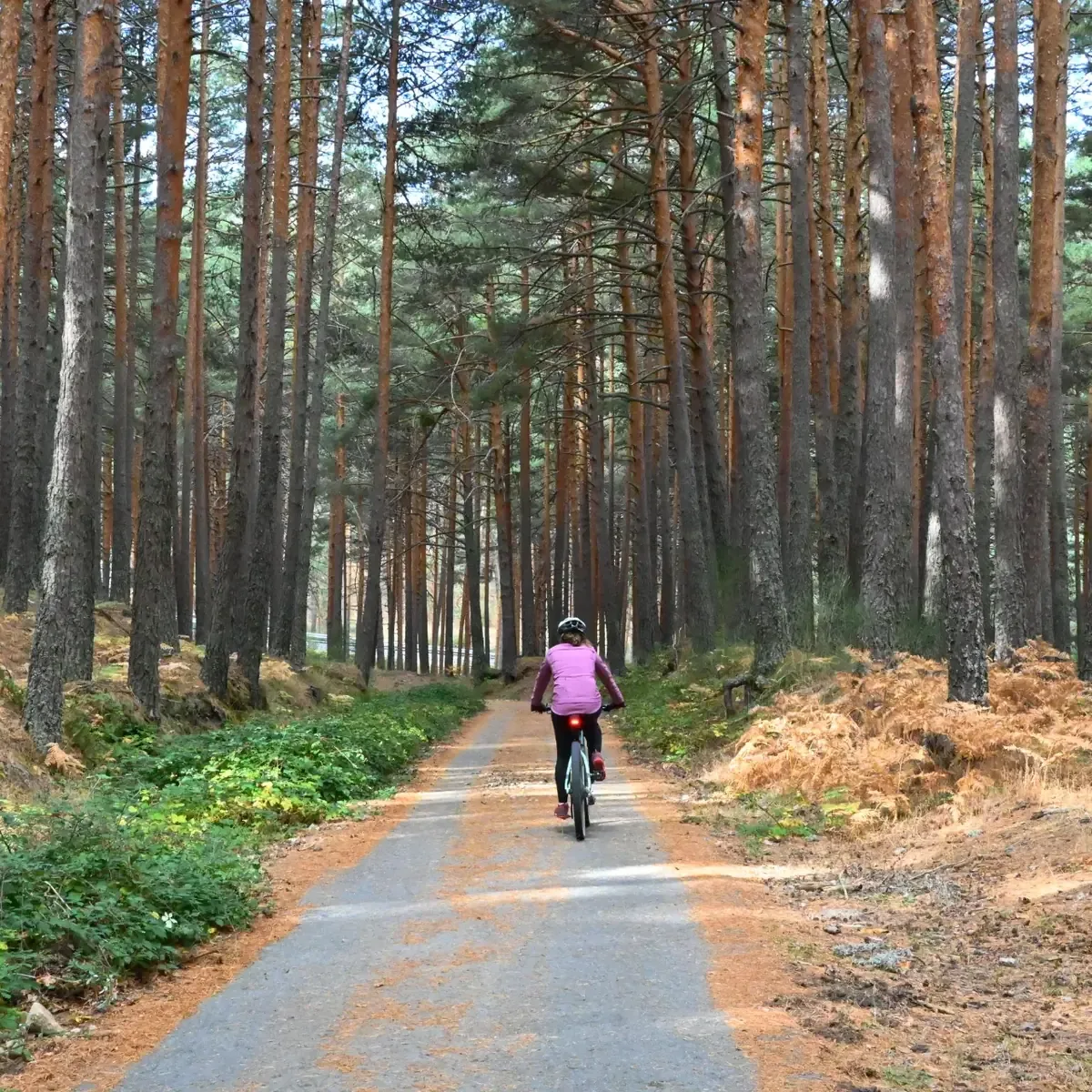 Descubre la naturaleza y actividades al aire libre en Bustarviejo, cerca de Madrid.