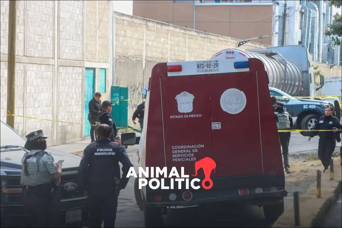 Disminución de homicidios en México durante el primer semestre de 2025.