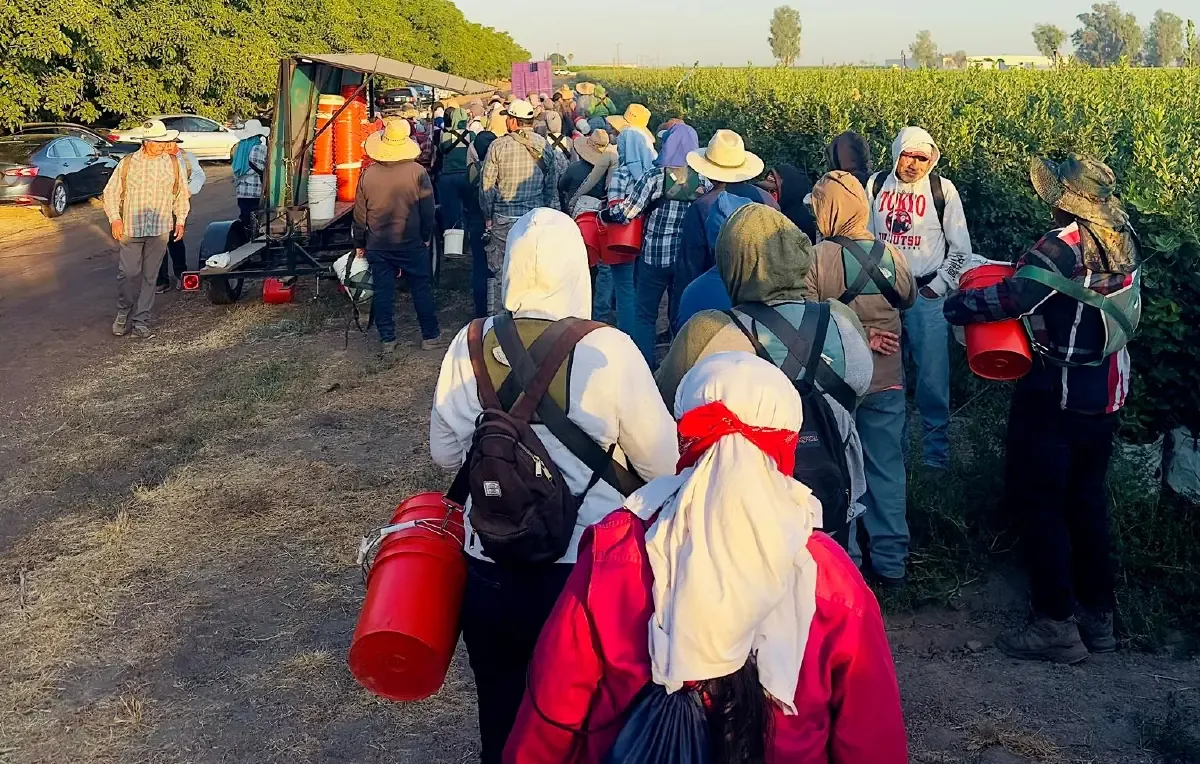 La caída de remesas afecta a familias mexicanas dependientes de estos ingresos.