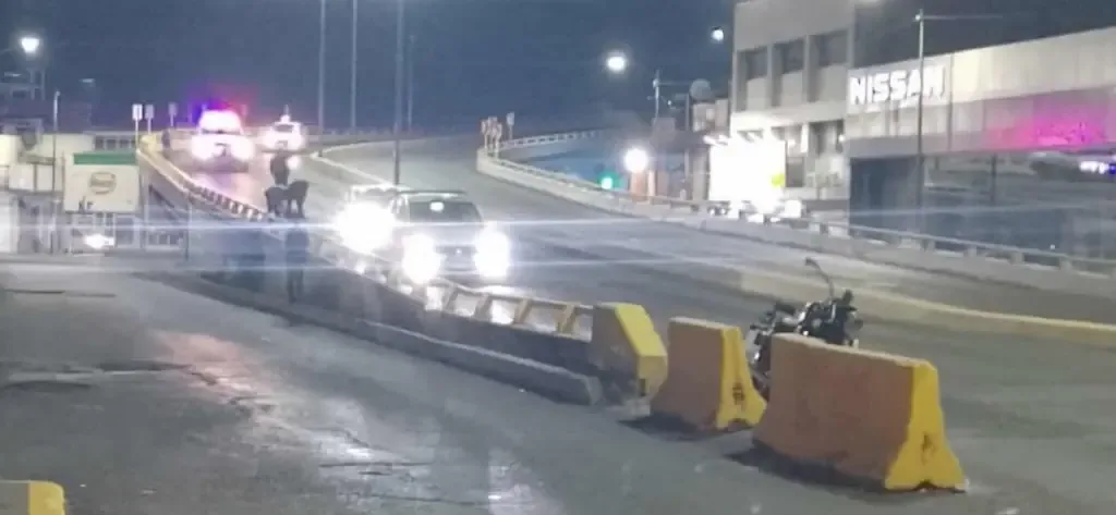 Dos accidentes en la madrugada resaltan la importancia de la seguridad vial en Morelia.
