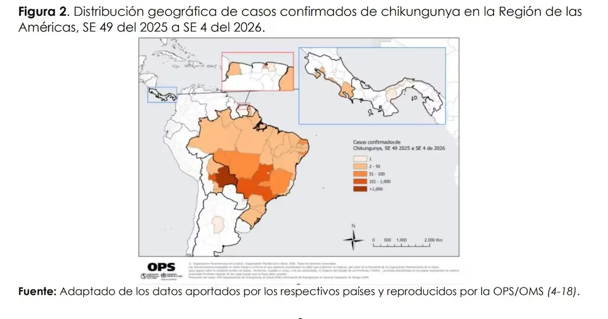 Dos casos de chikunguña en Asunción resaltan la necesidad de medidas preventivas urgentes.