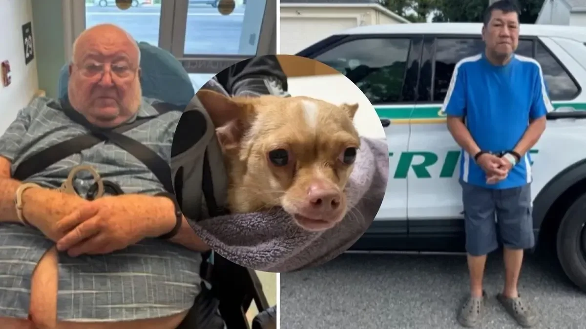 La pareja dejó un chaleco en su perro durante meses, causándole dolor severo.
