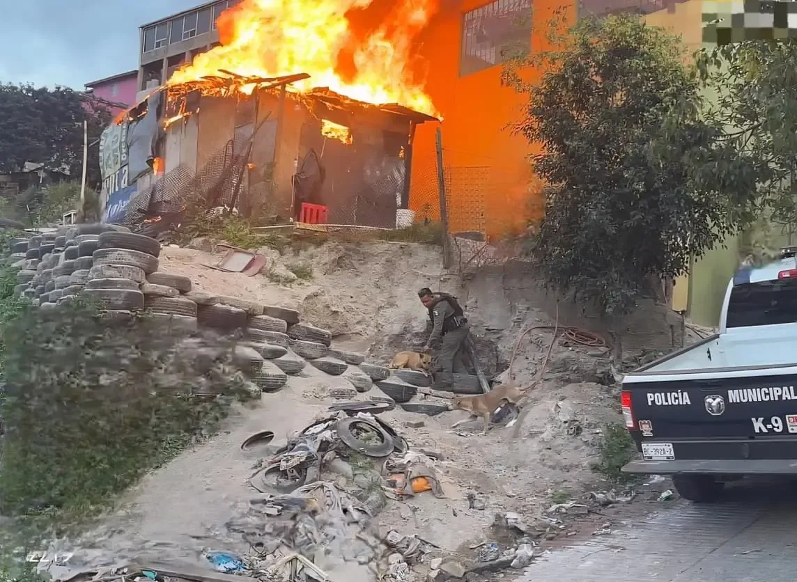 Dos perros fueron salvados por la SSPCM durante un incendio en una vivienda.