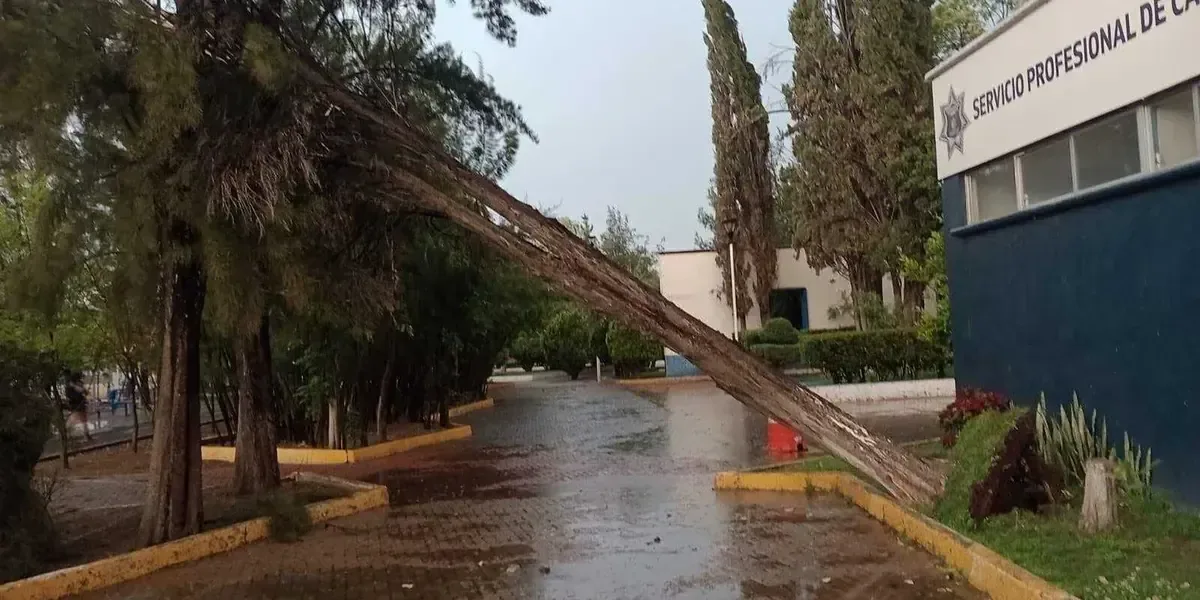 La reciente tormenta causó daños en diversas áreas de la ciudad y afectó el tráfico.