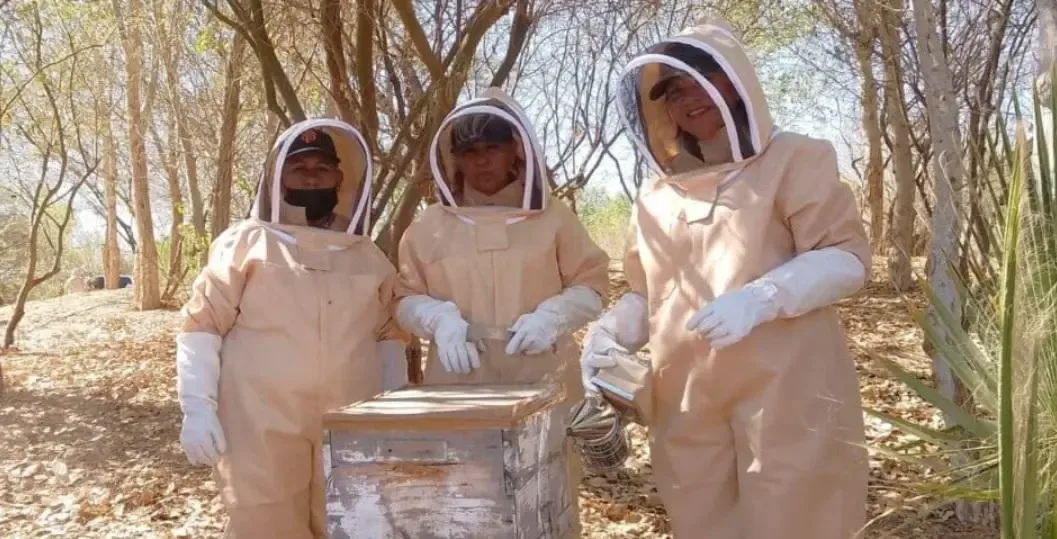Ecologistas y comunidades unen esfuerzos para restaurar el delta del Río Colorado.