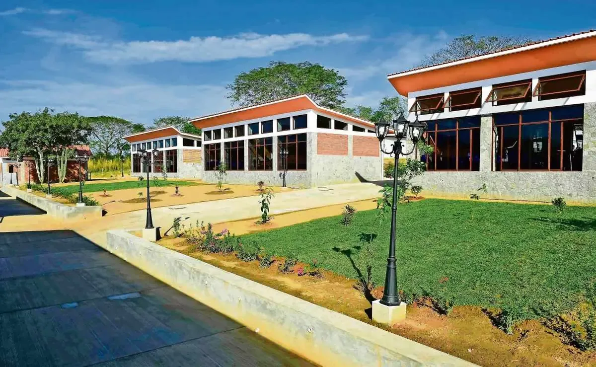 A pesar de la creciente matrícula universitaria, el presupuesto se reduce, afectando la calidad educativa.