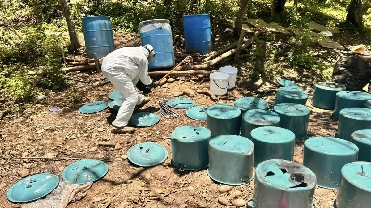 La incautación tuvo lugar en Sinaloa, afectando las finanzas del crimen organizado.