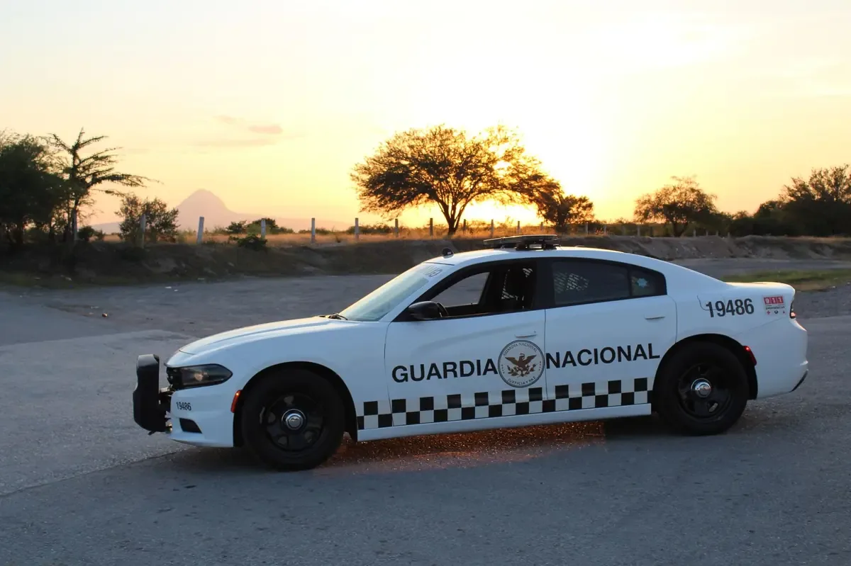 Dos hombres fueron detenidos tras el hallazgo de cuatro armas y municiones.