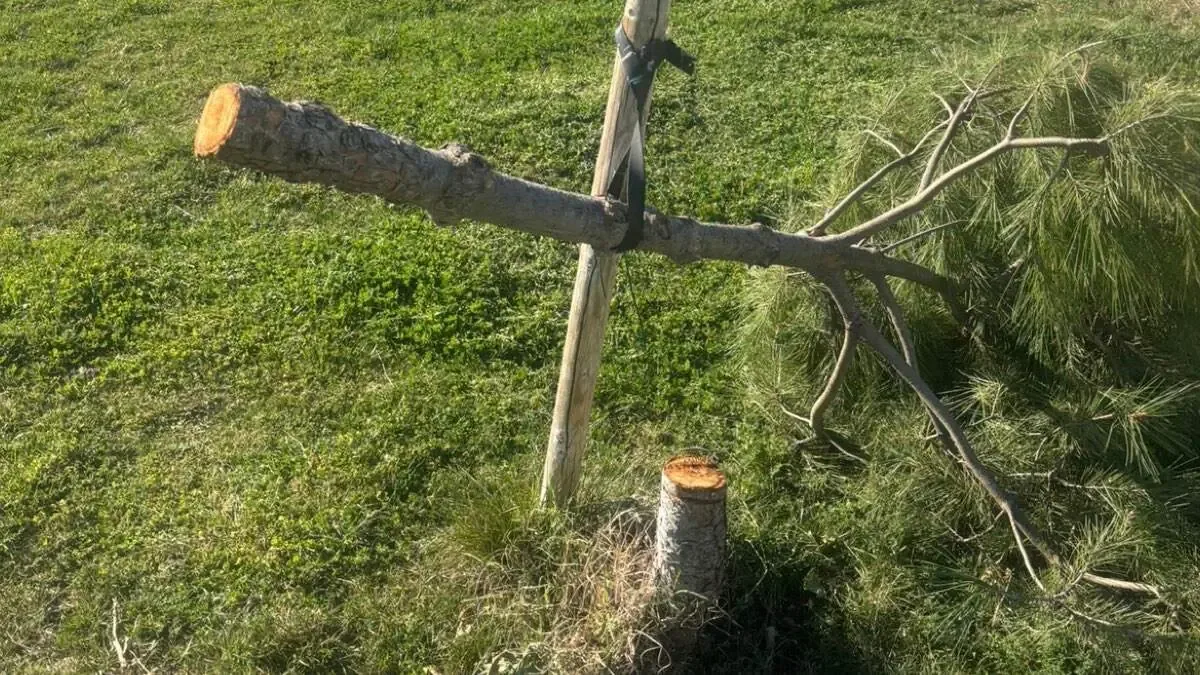 El Ayuntamiento considera el hecho un atentado contra el patrimonio natural de la ciudad.