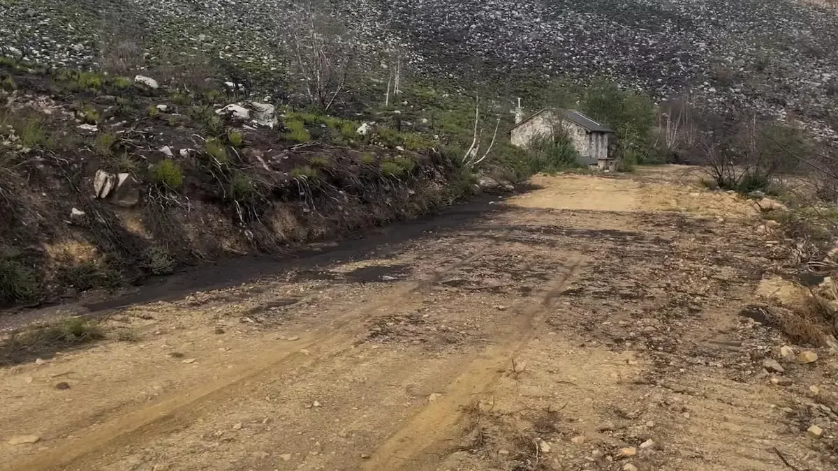A un año de los incendios en El Bierzo, los vecinos claman por apoyo y atención de las autoridades.