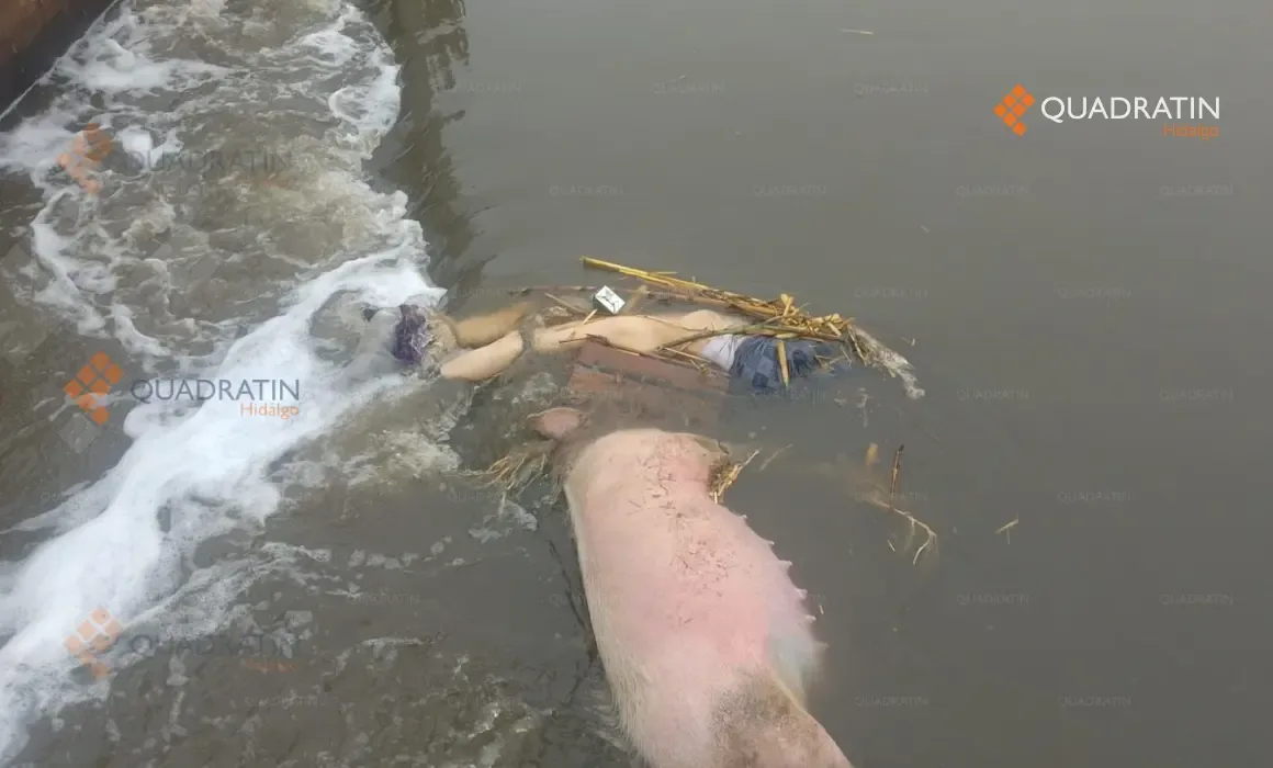 El canal de riego donde fue descubierto el cuerpo en San Salvador, Hidalgo.