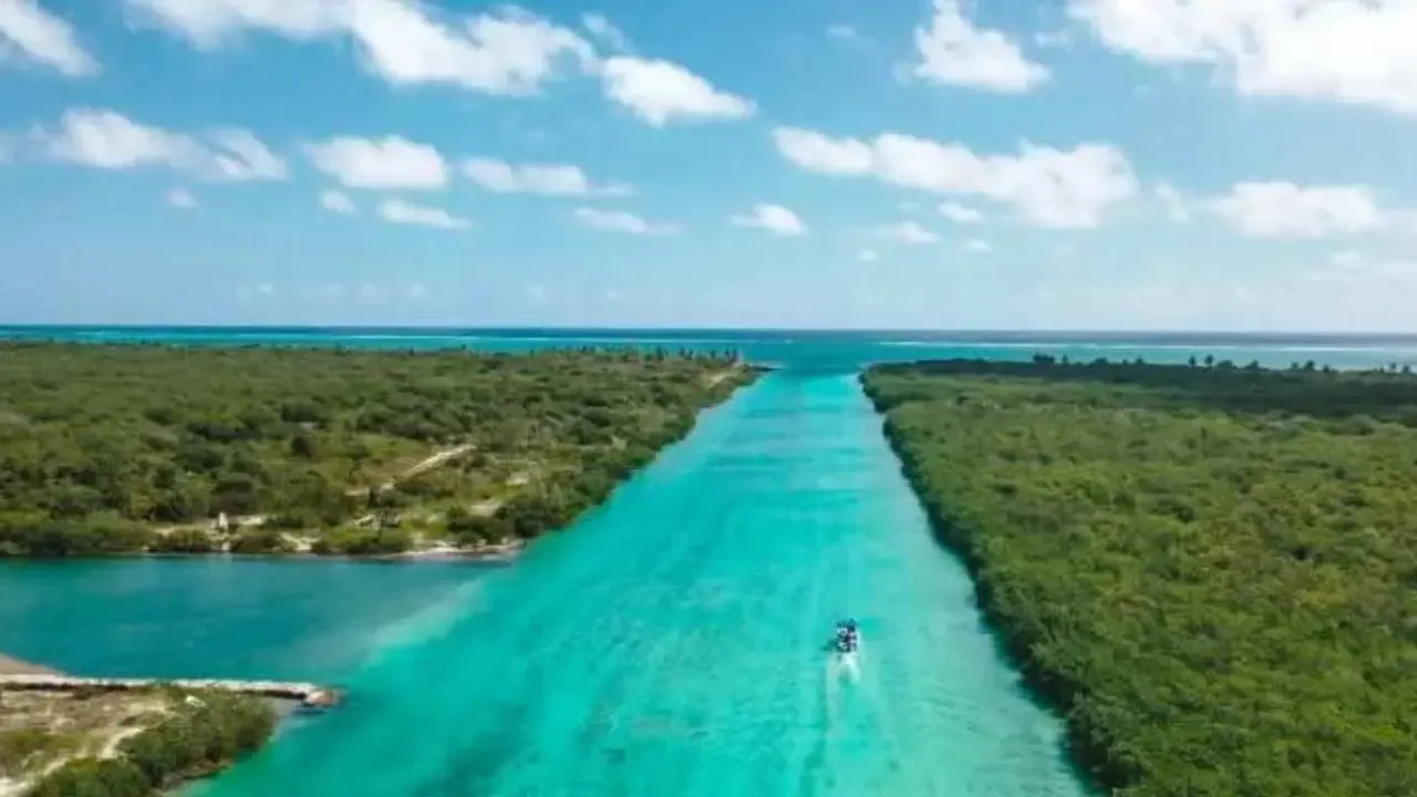"El Canal de Zaragoza, estratégico para el comercio en Quintana Roo."