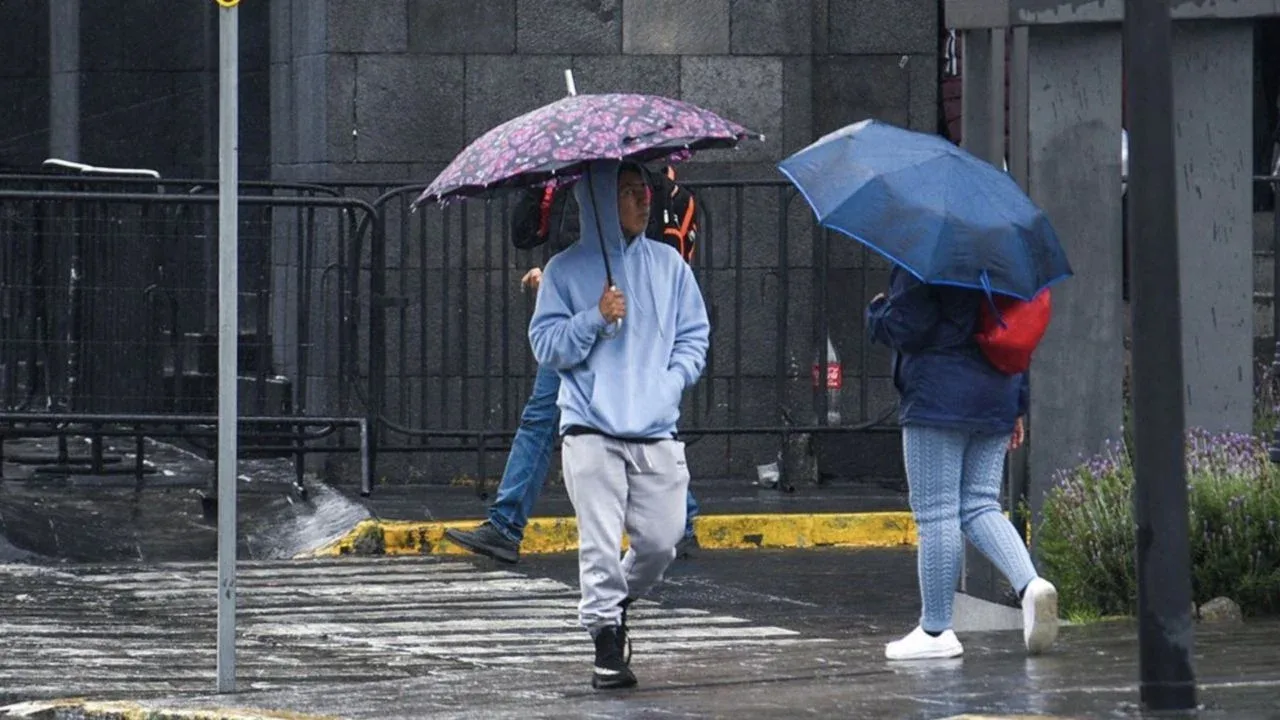 "El Frente Frío 29 impacta severamente el clima en México este domingo."