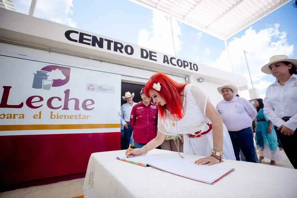 El gobierno estatal enfrenta dificultades para cubrir costos básicos, afectando la economía y el empleo.