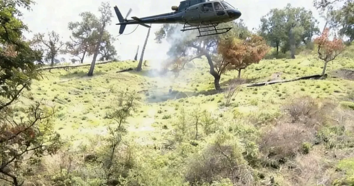 El herbicida Paraquat afecta a poblaciones vulnerables en Guerrero al erradicar cultivos.