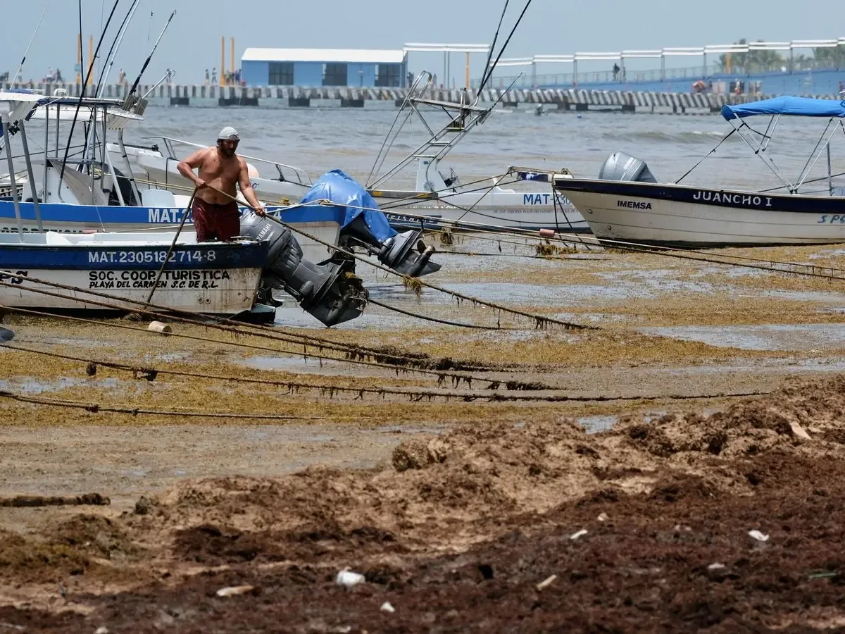 Las playas del Caribe mexicano lidian con el sargazo y el aumento de precios, afectando el turismo.